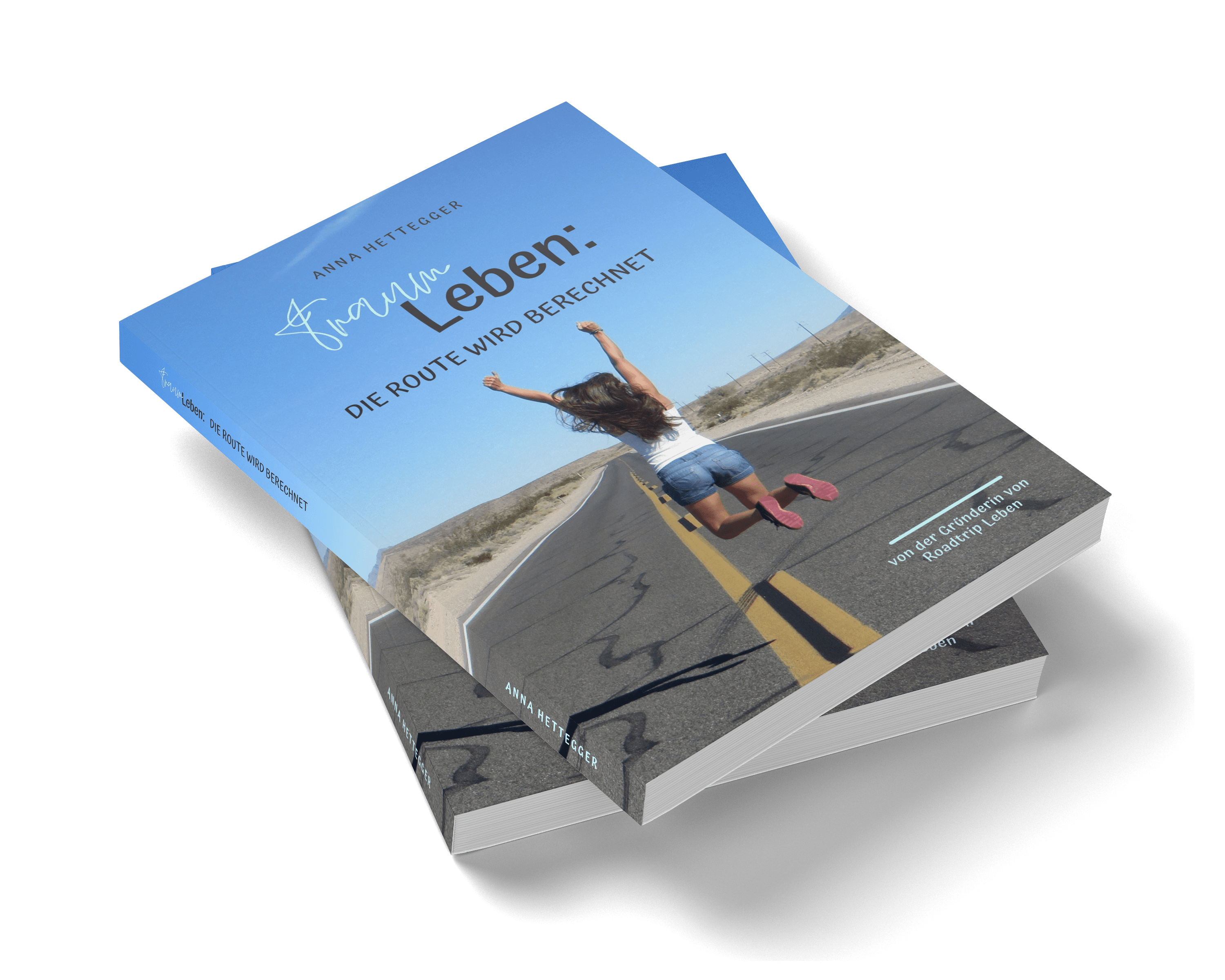 Mein Buch - Traumleben: Die Route wird berechnet Mein Buch - Traumleben: Die Route wird berechnet